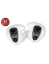 Protectores auditivos personalizado blancos - Cens Proflex DX1